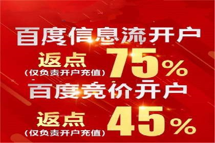 百度竞价公司广告投放技巧及效果展示